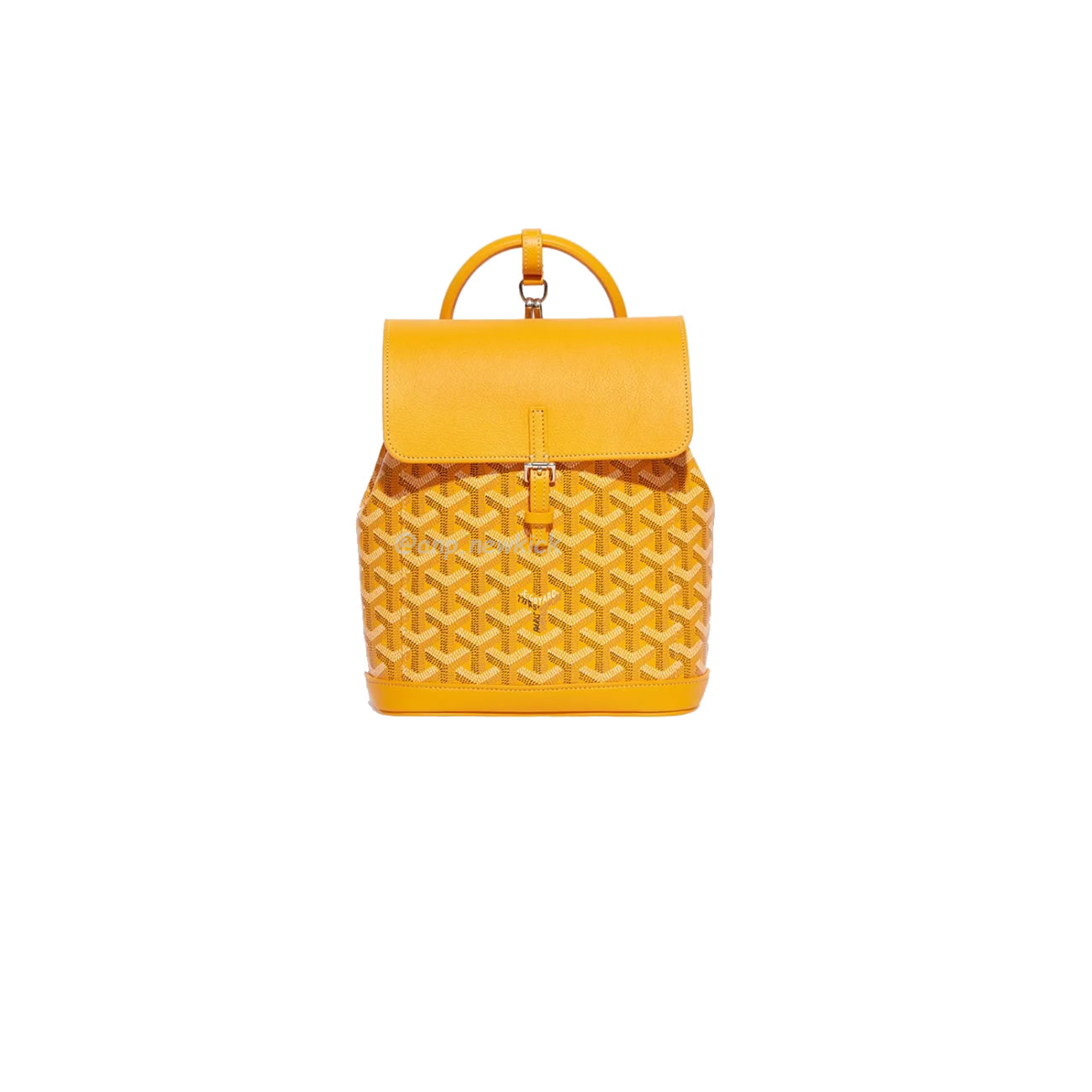 Goyard Alpin Mini Backpack 23 Cm X 9.5 Cm X 19 Cm (11) - newkick.vip